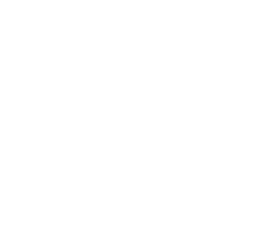 Vidéo LSQ